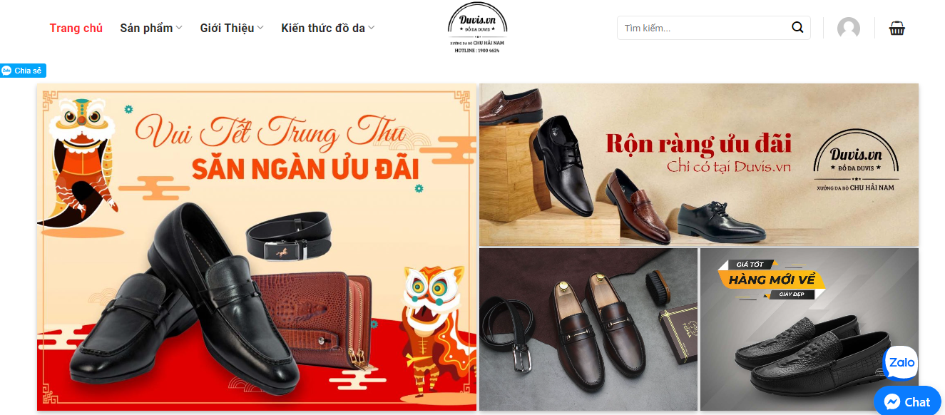 Website của Duvis