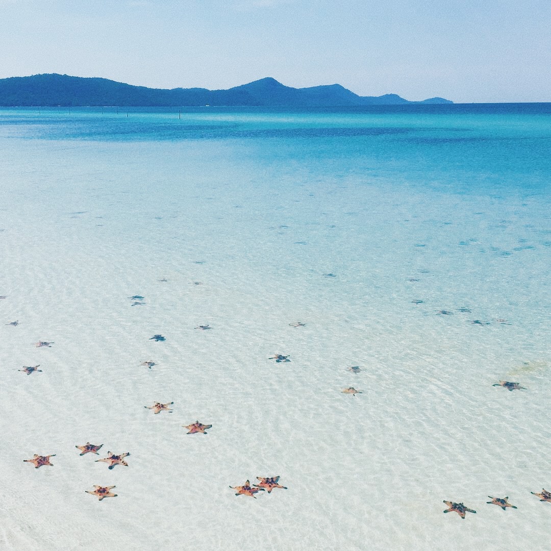 Bạn sẽ được tận mắt ngắm nhìn khung cảnh tuyệt vời của những khu rừng nguyên sơ. Ngoài xa là bãi biển xanh ngắt, trong vắt