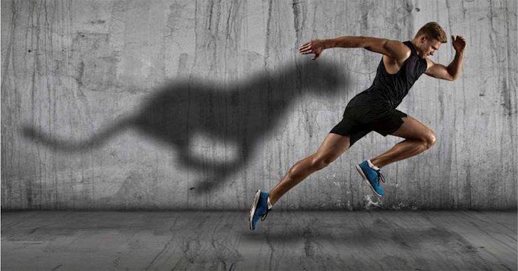 Giày tập gym giúp hỗ trợ bài tập hiệu quả hơn