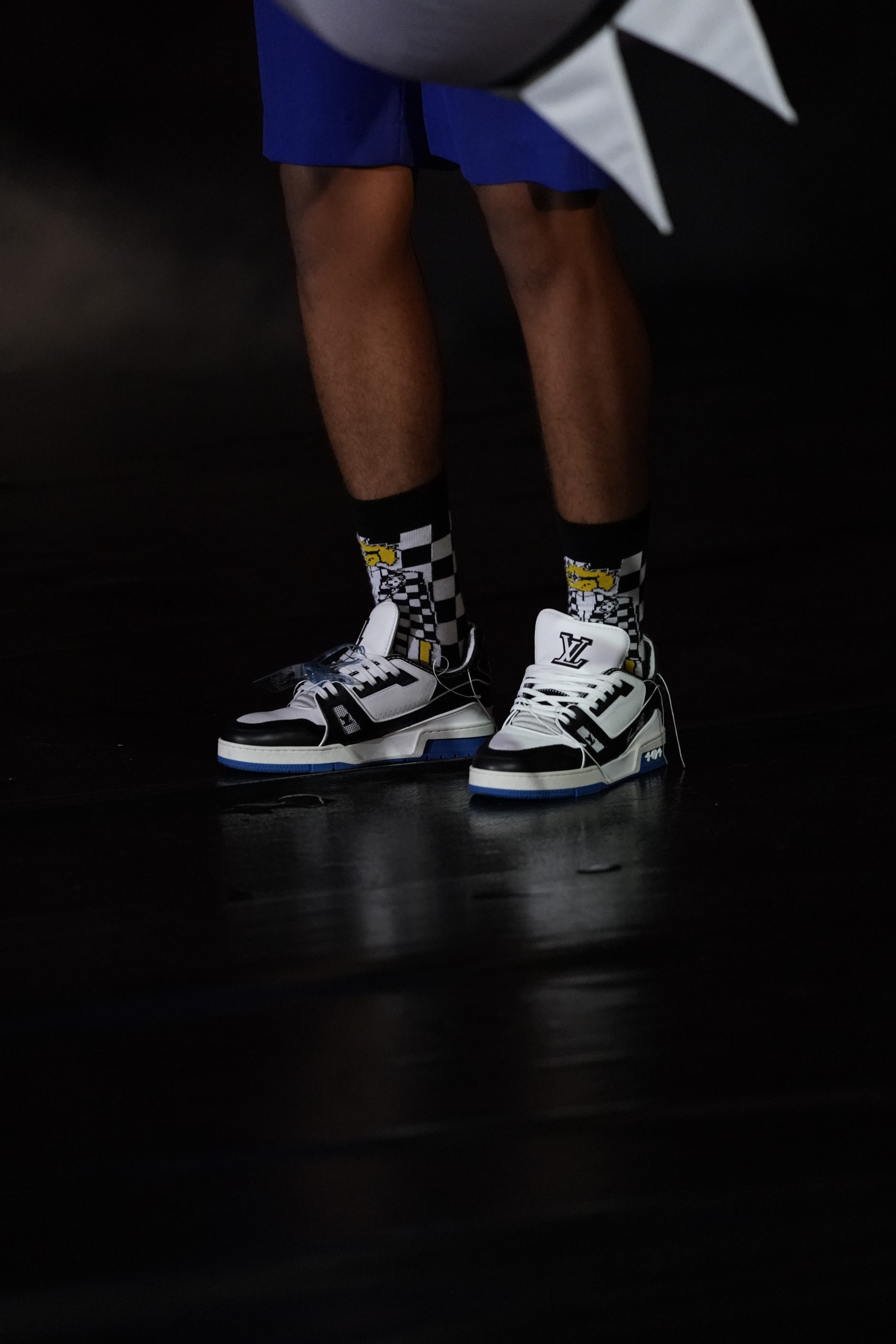 LV Trainer Upcycling