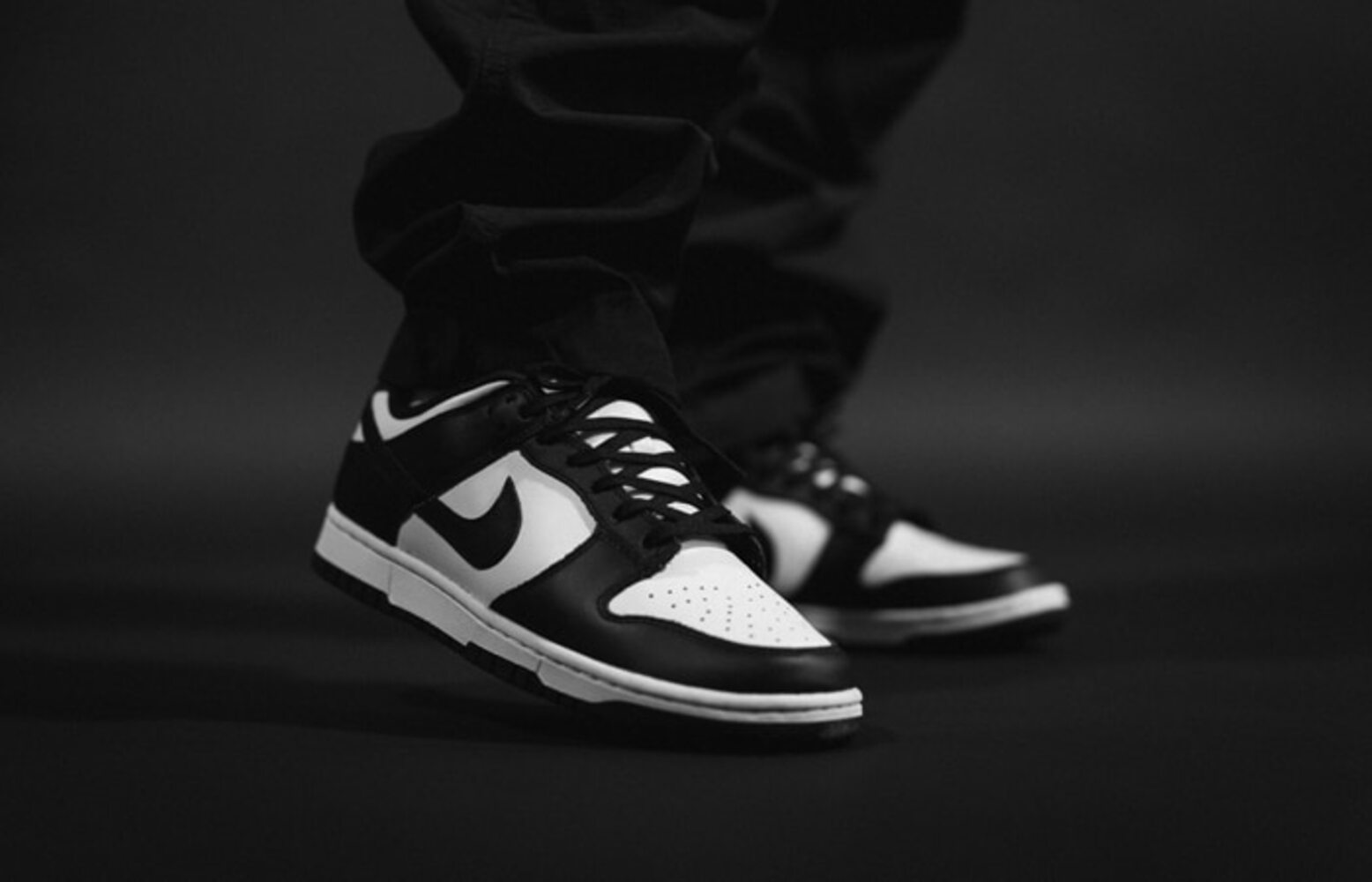 Nike Dunk SB White Black